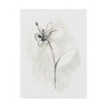 Trademark Fine Art June Erica Vess 'Neutral Floral Gesture Ix' Canvas Art, 24x32 WAG09074-C2432GG